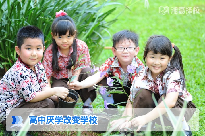 2026年湖南厌学高中生转校/复读全指南：从选校到适应的实操方案