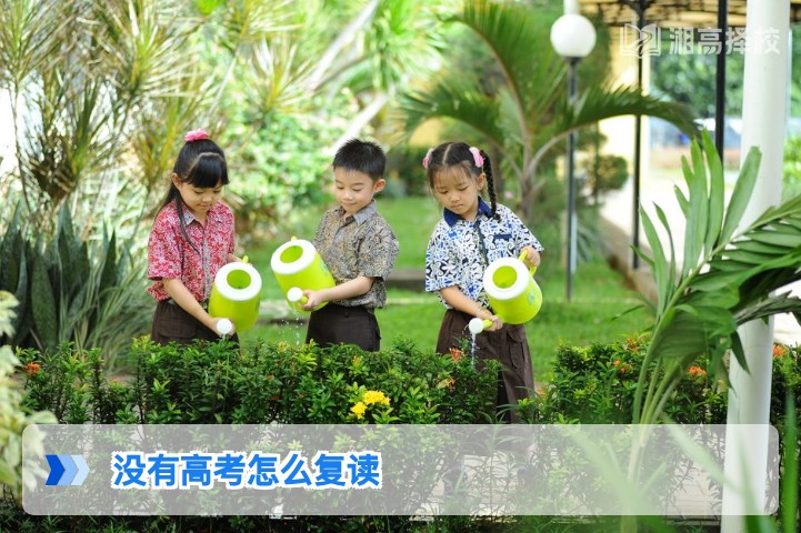 2026年湖南未参加高考考生复读全指南