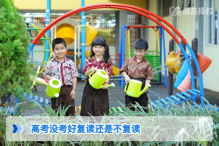 2026年湖南高考没考好，复读还是不复读的科学决策指南