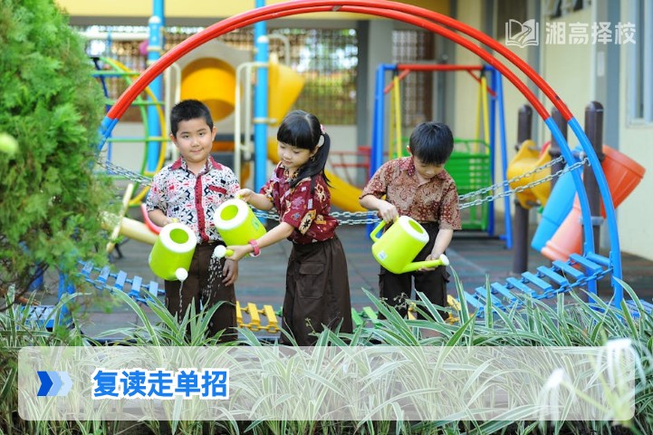 2026年湖南复读生走单招的可行性分析与实操指南