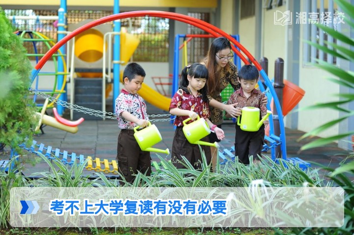2026年湖南考生考不上大学复读必要性分析及科学决策指南