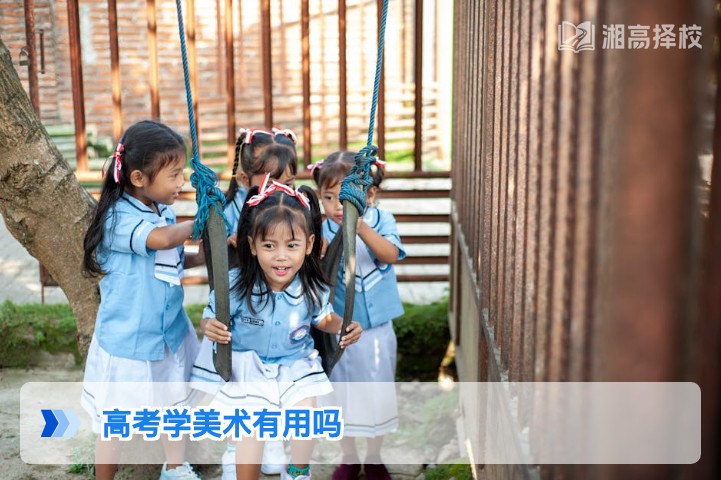 2026年湖南高考学美术有用吗?结合政策与升学数据的客观分析