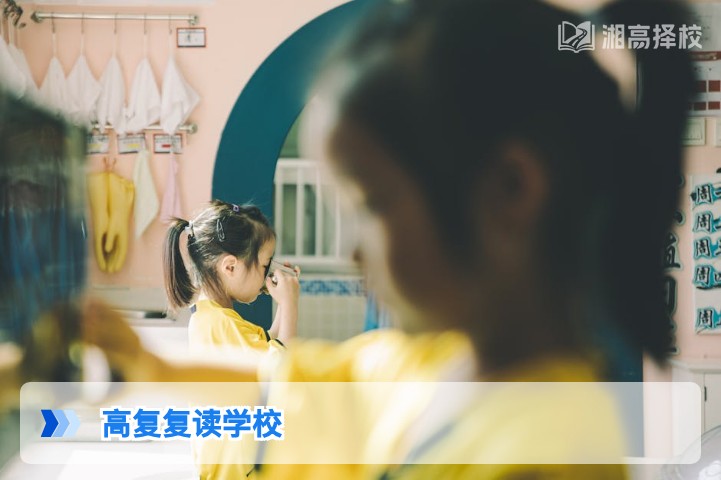 2026年湖南省高复复读学校择校全指南