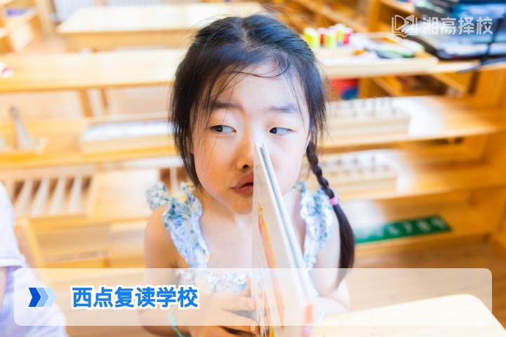 2026年湖南西点复读学校全解析 长沙高复择校必看指南