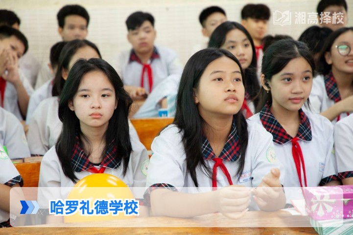 2026年湖南长沙哈罗礼德学校高复部全解析 含招生政策与提分数据