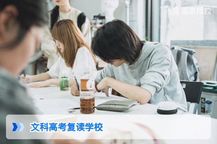 2026年湖南省文科高考复读学校选择指南与政策解析