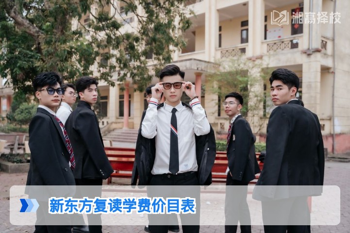 2026年湖南新东方复读学费价目表及择校参考指南