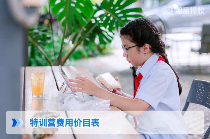 2026年湖南省高考复读特训营费用价目表及收费标准解析