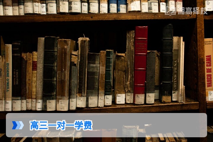 2026年湖南高三一对一复读学费标准与性价比指南