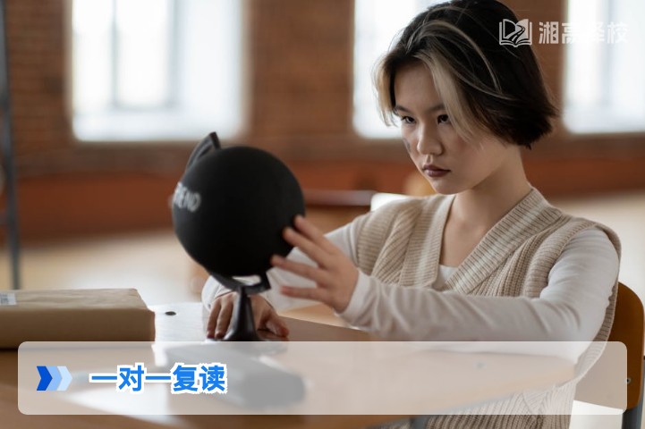2026年湖南一对一复读全指南：政策合规性、提分路径与机构选择