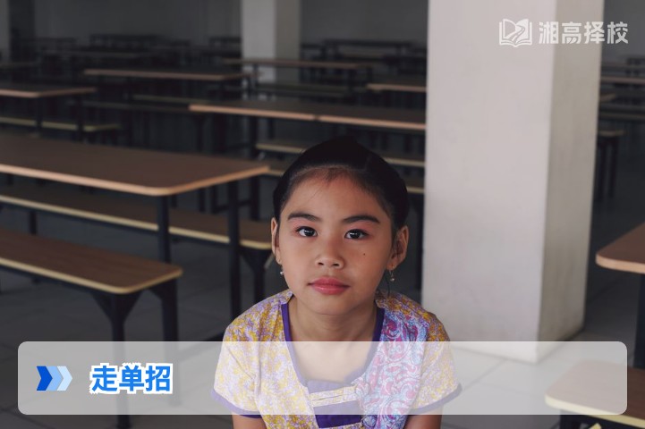 2026年湖南高考复读生走单招的全流程指南与政策解读