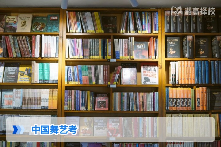 2026年湖南中国舞艺考全指南 附复读提分策略与院校报考建议