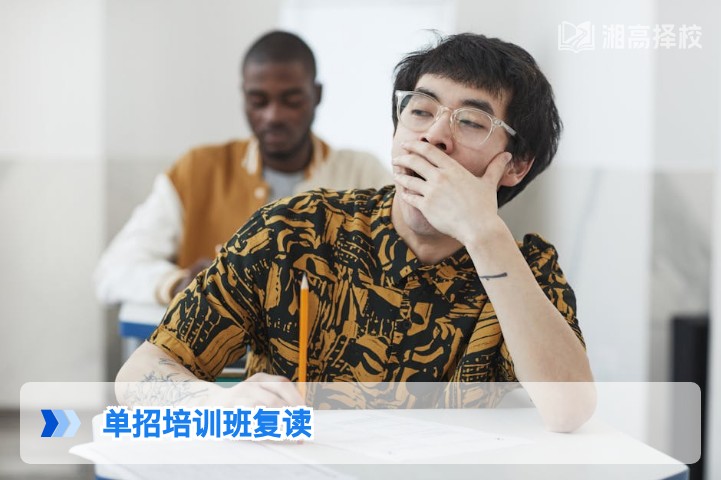 2026年湖南单招落榜后复读培训班选择指南与规划方案