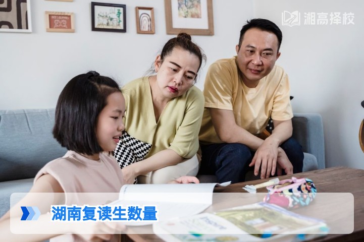2026年湖南省高考复读生规模及趋势分析