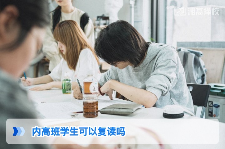 2026年湖南省内高班学生复读政策解读与实操指南