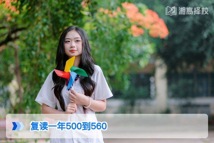 2026年湖南复读生从500分提至560分的科学规划与实操指南