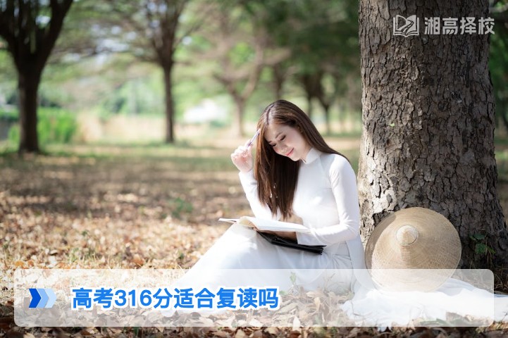 2026年湖南高考316分是否适合复读?结合政策与提分数据的客观分析