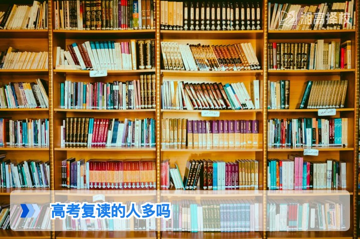 2026年湖南高考复读人数现状及趋势分析