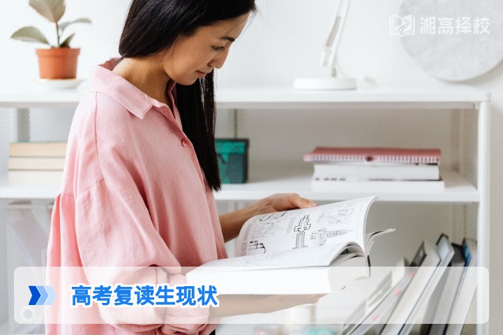 2026年湖南省高考复读生现状分析与升学指南