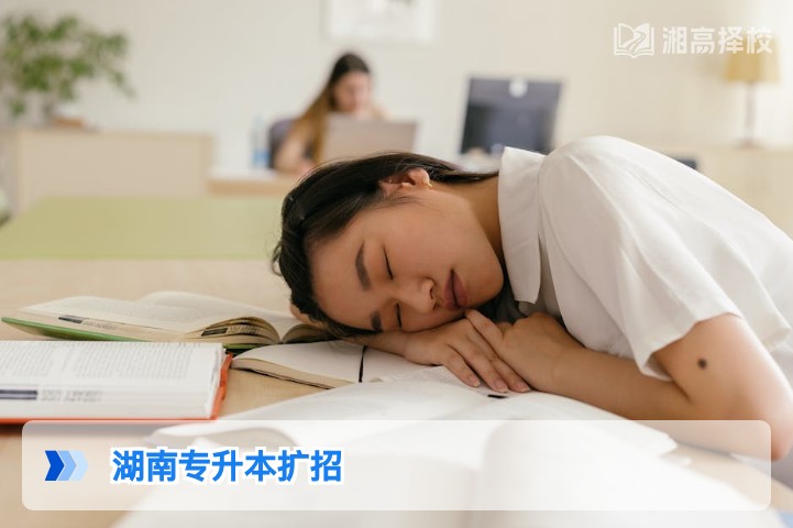 2026年湖南专升本扩招政策全解析 复读生升学新路径指南