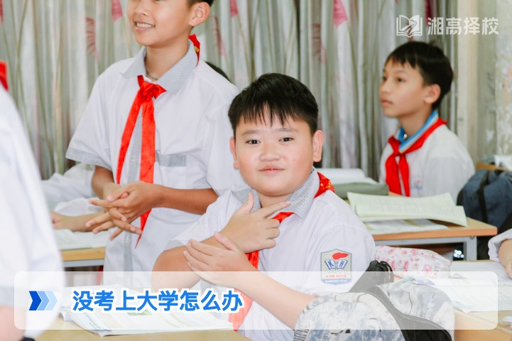 2026年湖南考生没考上大学的5条务实出路及复读规划指南