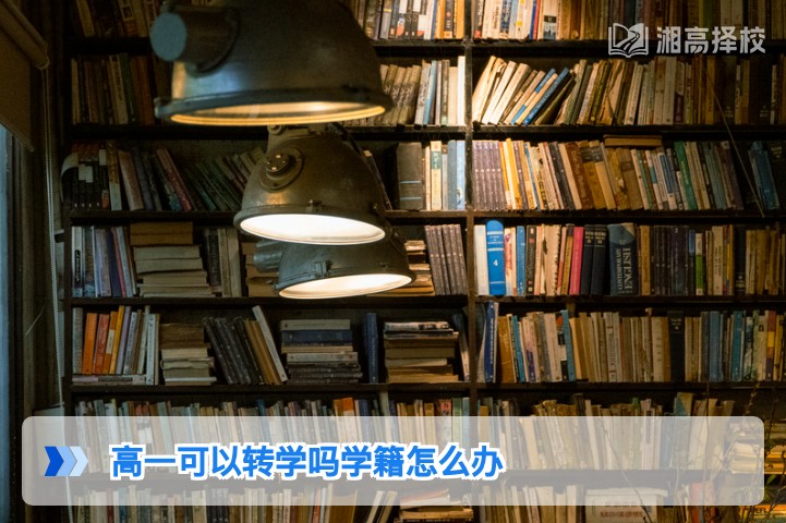 2026年湖南高一转学政策及学籍处理全指南
