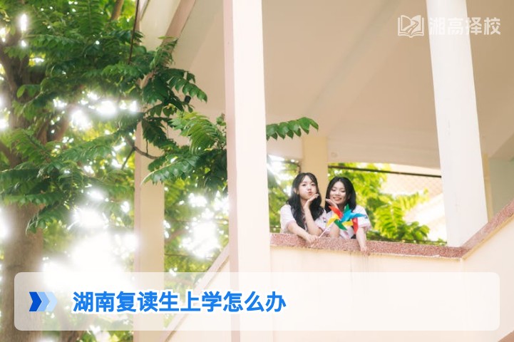 2026年湖南高考复读生上学全指南 从择校到学籍办理一步到位