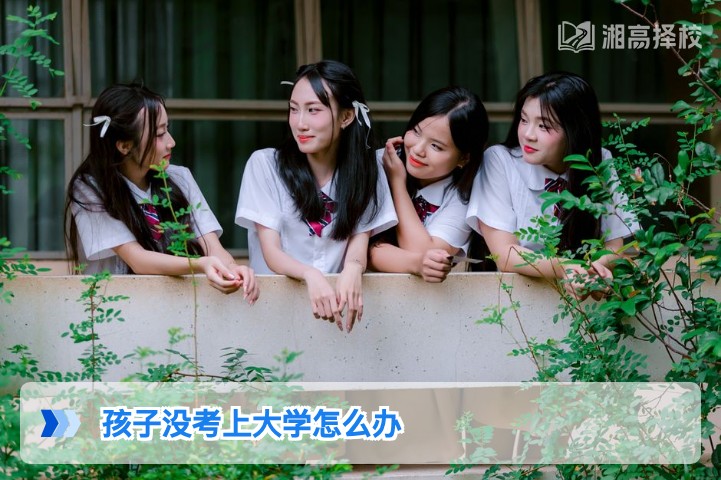 2026年湖南考生没考上大学的5种科学解决方案及落地指南