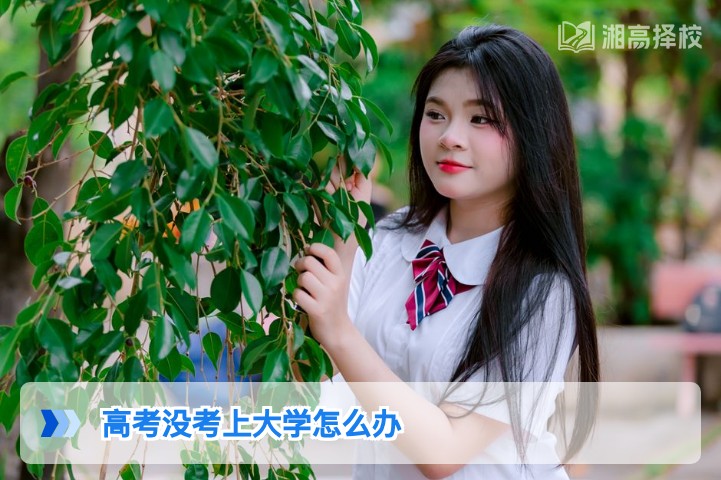 2026年湖南高考没考上大学的5种科学解决方案及落地指南