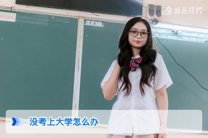 2026年湖南考生没考上大学的5条科学出路及落地指南