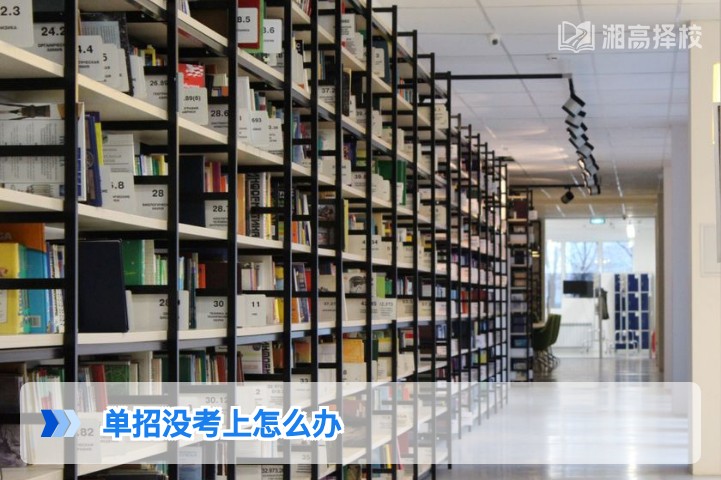 2026年湖南单招未考上的3种升学解决方案及实操指南