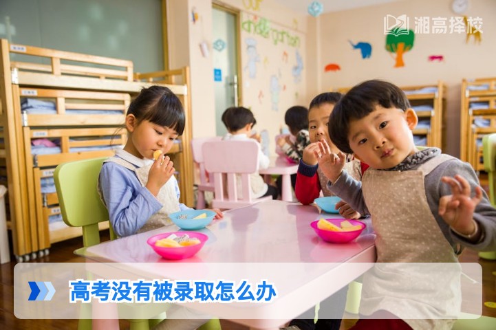 2026年湖南高考未被录取怎么办?官方政策与落地解决方案全指南