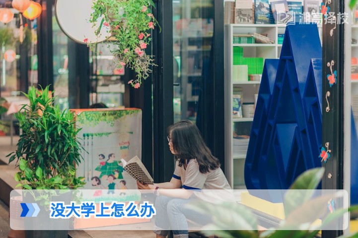 2026年湖南考生没大学上的5种务实解决方案及复读规划指南