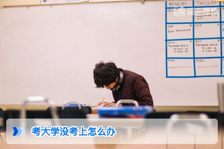 2026年湖南考生没考上大学的4种科学应对方案及落地指南