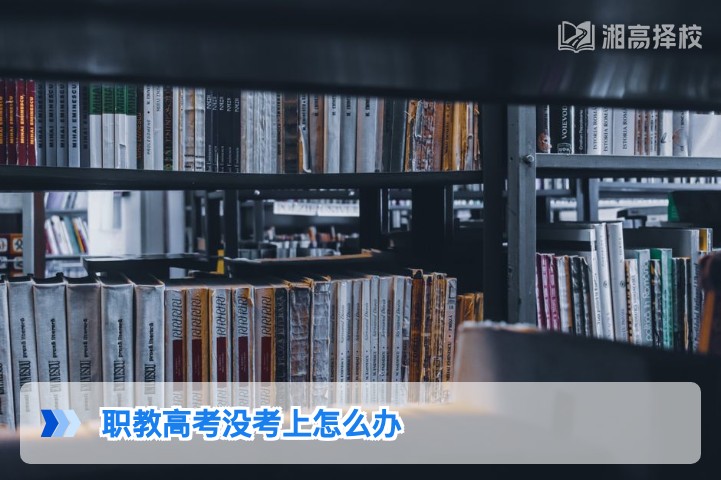 2026年湖南职教高考落榜后怎么办 权威规划指南