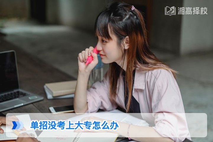 2026年湖南单招未考上大专的3种可行解决方案及落地指南