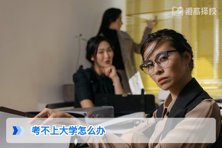 2026年湖南考生考不上大学的5条务实解决方案及落地指南