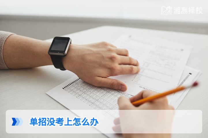 2026年湖南单招没考上的3种可行解决方案及落地指南