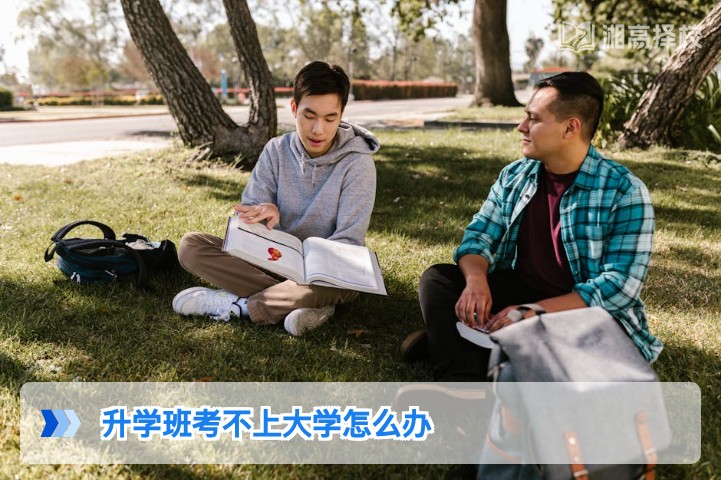 2026年湖南升学班考不上大学的3个务实解决方案
