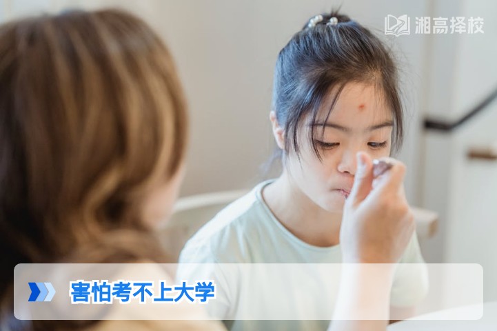 2026年湖南考生害怕考不上大学?科学规划+落地方案帮你破局