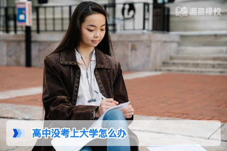 2026年湖南高中未考上大学的5条可行出路及复读规划指南