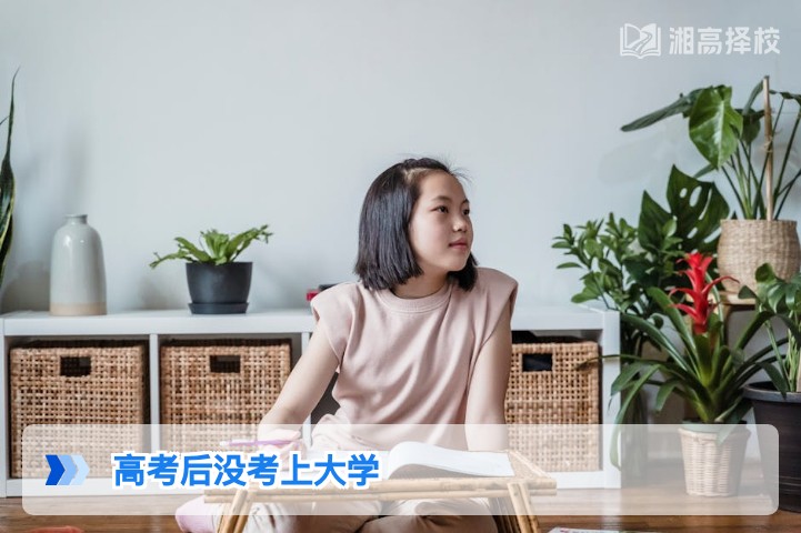 2026年湖南高考落榜后怎么办？权威规划方案与政策指南