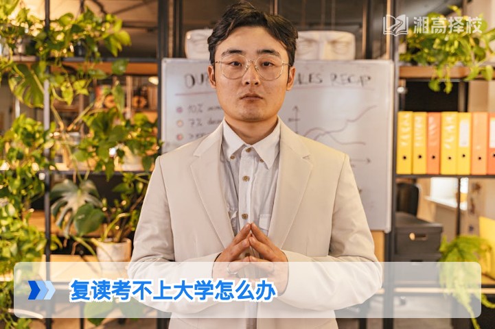 2026年湖南复读考不上大学的应对方案与规划指南