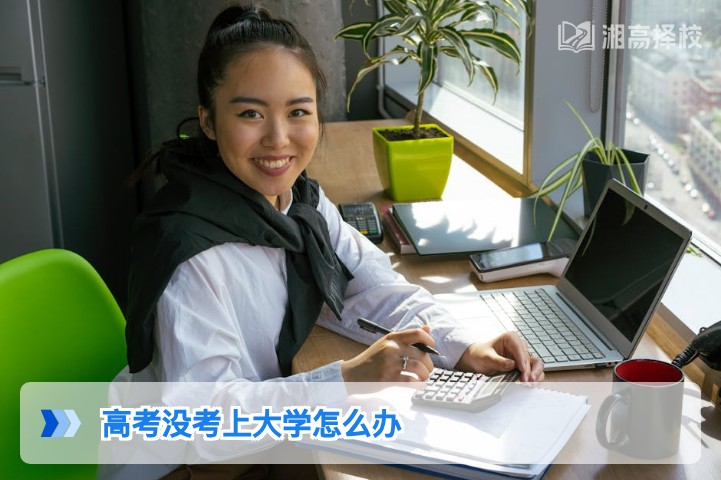 2026年湖南高考落榜后全路径规划：从复读到多元升学的实用指南