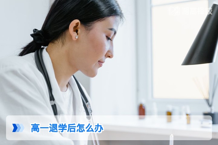 2026年湖南高一退学后复学、复读及升学规划全指南