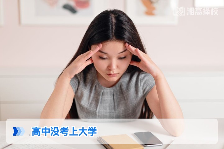 2026年湖南高中未考上大学的3种科学解决方案