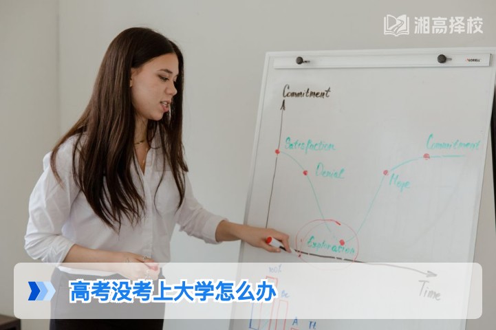 2026年湖南高考落榜后怎么办 权威规划指南帮你走出困境