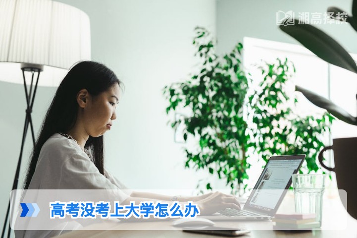 2026年湖南高考未考上大学的5种科学解决方案及实操指南