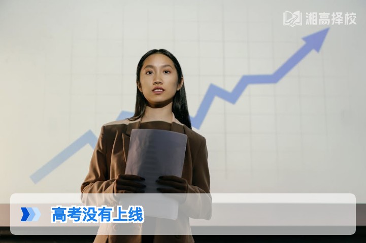 2026年湖南高考未上线怎么办？官方政策指引与落地解决方案