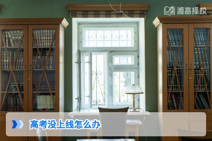 2026年湖南高考没上线的科学应对方案与复读规划指南